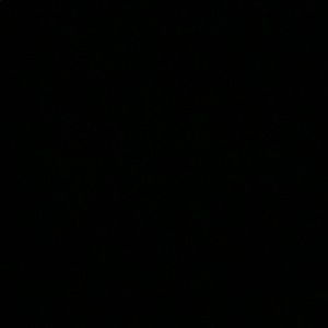 Meet your Posher, Lola